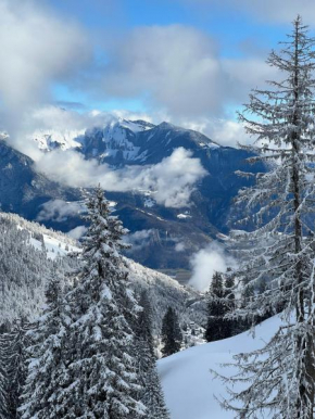 terrasse plus parking pour 8 personnes au ski à Torgon
